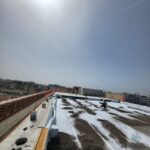 Roof Garden