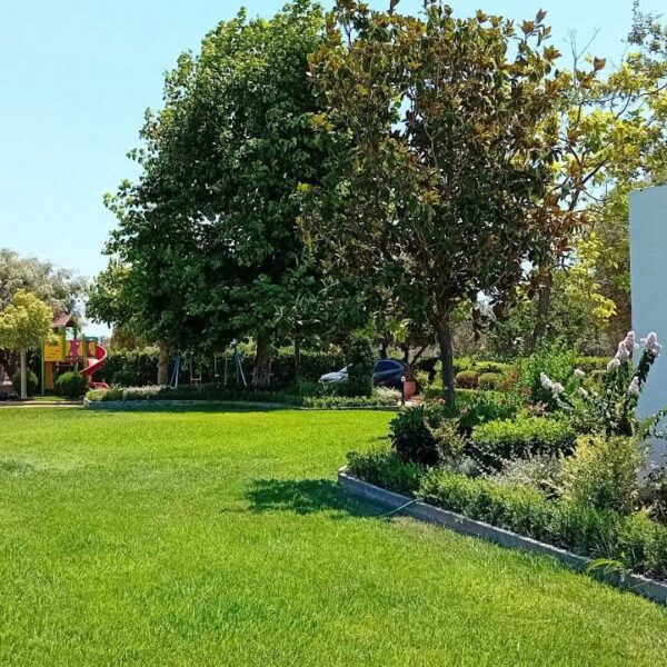 urban green_00006 urban green_00006