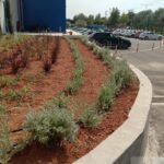 Mapei Planting