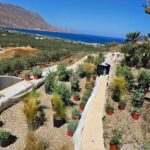 Tella Thera Supplier