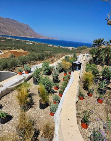 supplier of tella thera hotel_00031