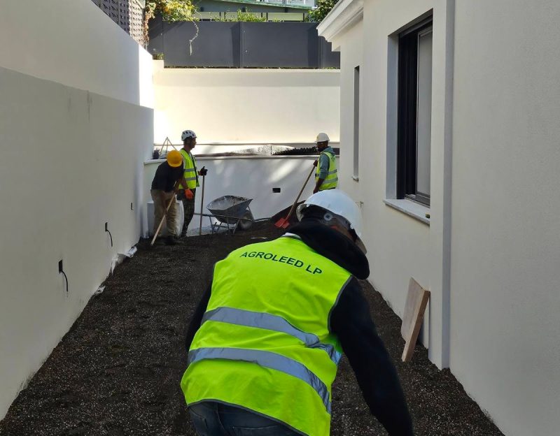 roof gardens_00056
